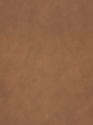 Front 193 - COPPER SHADOW